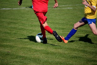 九游体育官网入口-男篮国家队专项安排外线射手训练增强火力输出，男篮外援